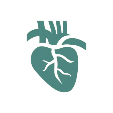 Hjärta