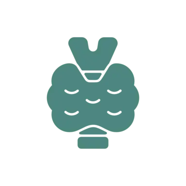 Sköldkörtel